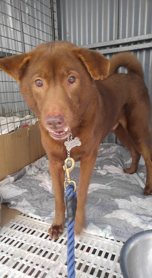 (受訪者提供) (受訪者提供)