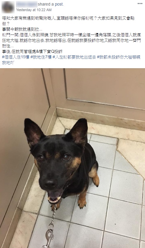 網民分享被帶狗搭升降機的經歷。(Facebook截圖) 網民分享被帶狗搭升降機的經歷。(Facebook截圖)