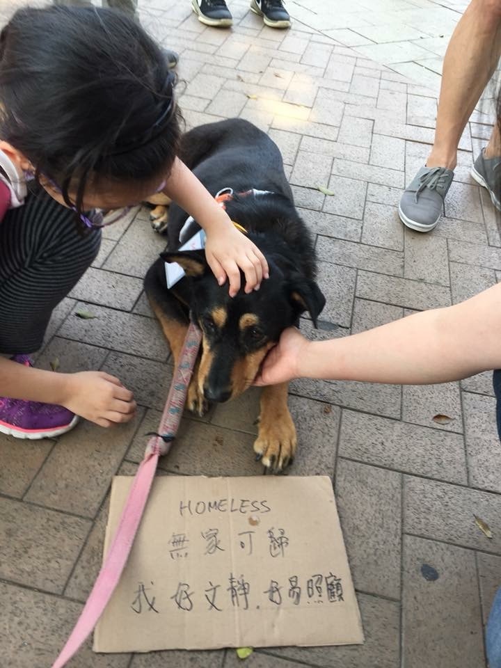 Irene形容Mia性格文靜、不太好動,脾氣亦相當好。(FB@Irene Lau) Irene形容Mia性格文靜、不太好動,脾氣亦相當好。(FB@Irene Lau)