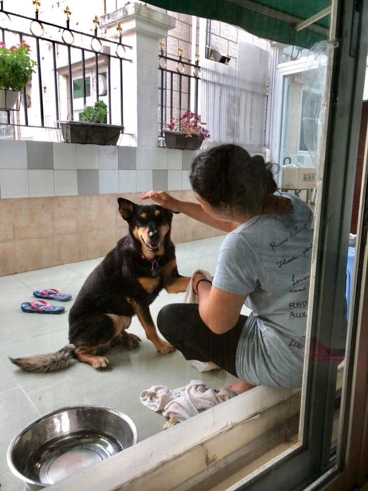 (FB@Irene Lau) (FB@Irene Lau)