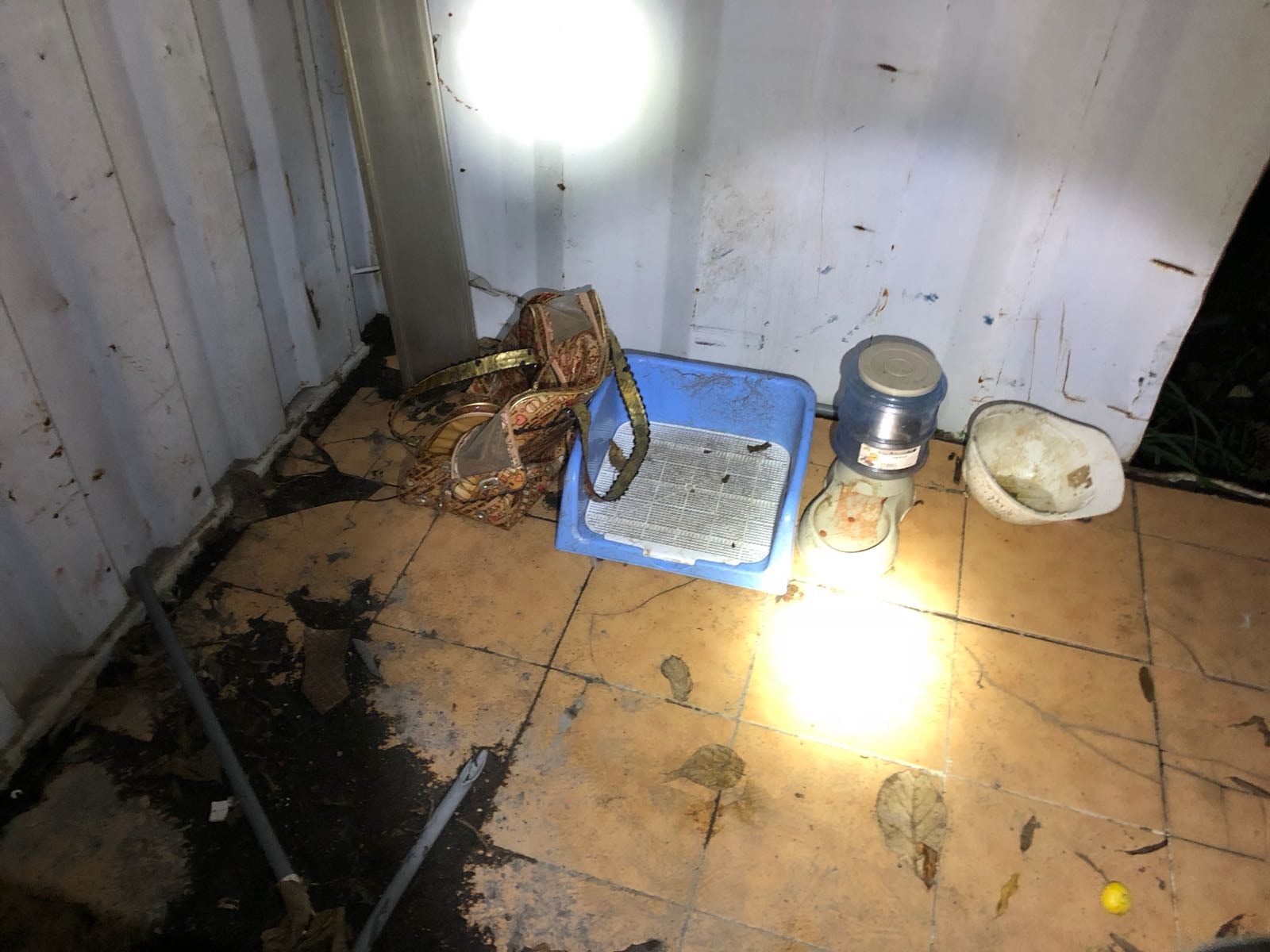 現場發現有狗袋和水兜等用品。(毛孩守護者) 現場發現有狗袋和水兜等用品。(毛孩守護者)