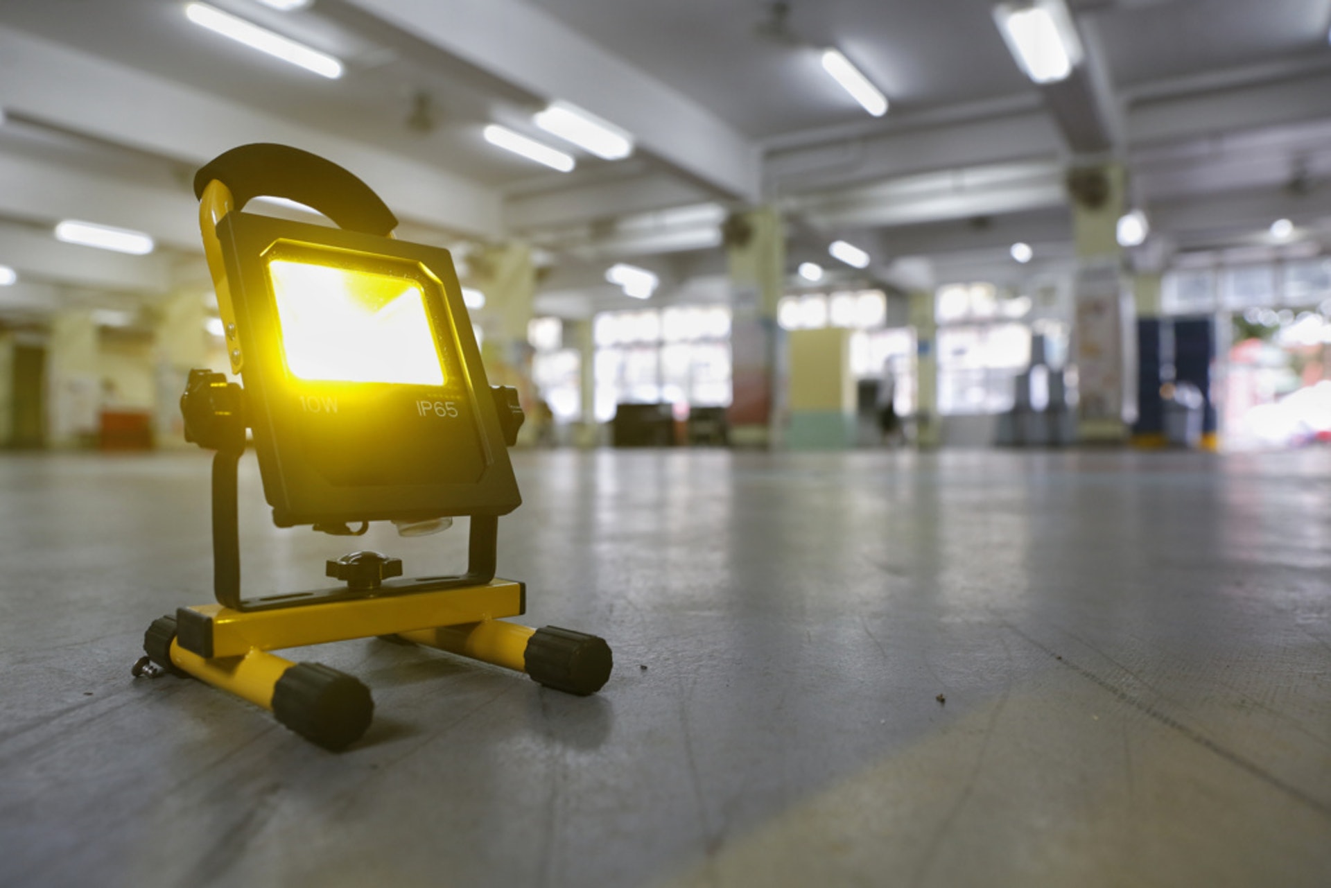 校門設有黃色的滅蚊燈。 校門設有黃色的滅蚊燈。