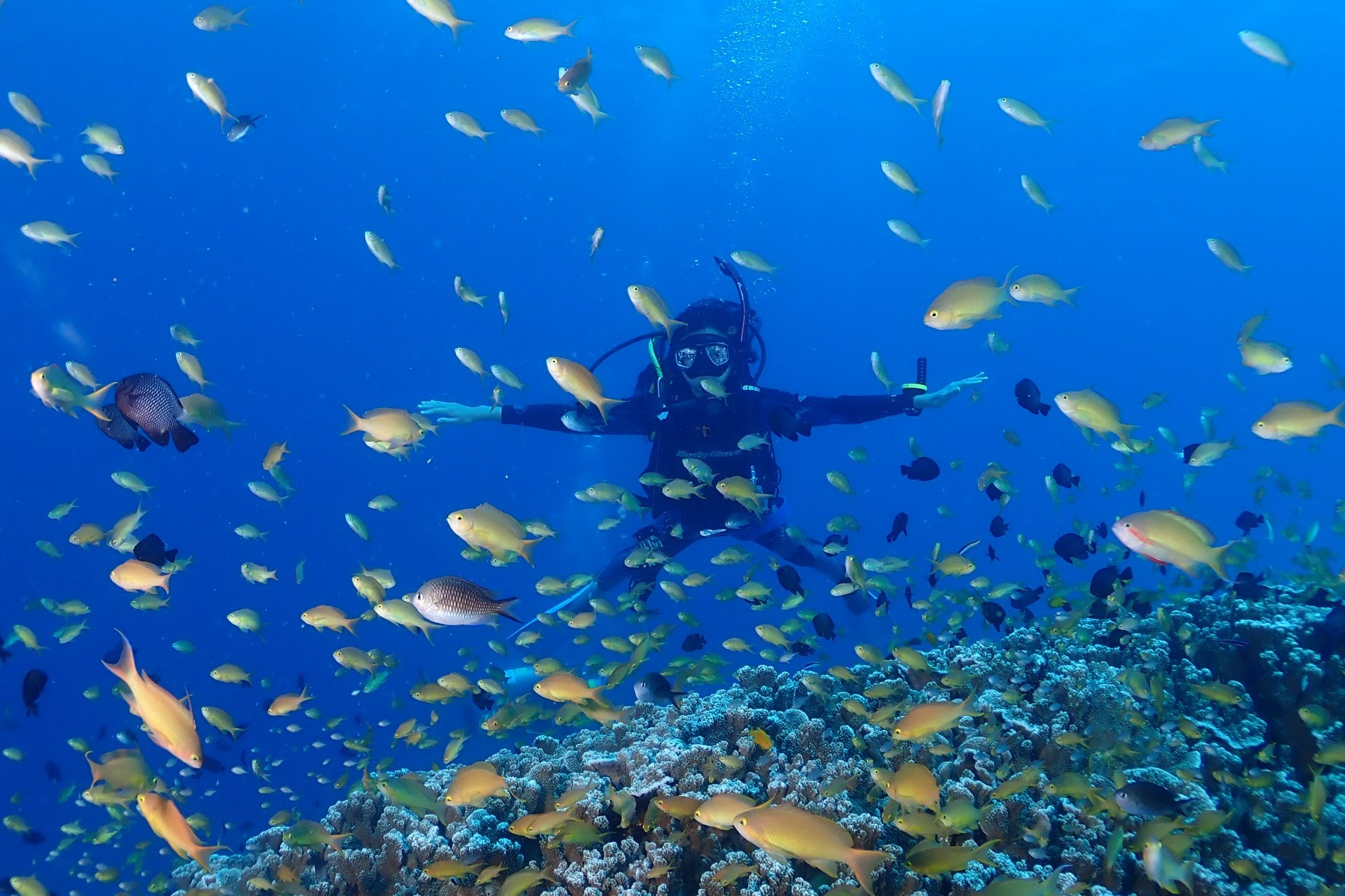 一班中學生難忘Jack fish storm的畫面。 (受訪者提供圖片) 一班中學生難忘Jack fish storm的畫面。 (受訪者提供圖片)