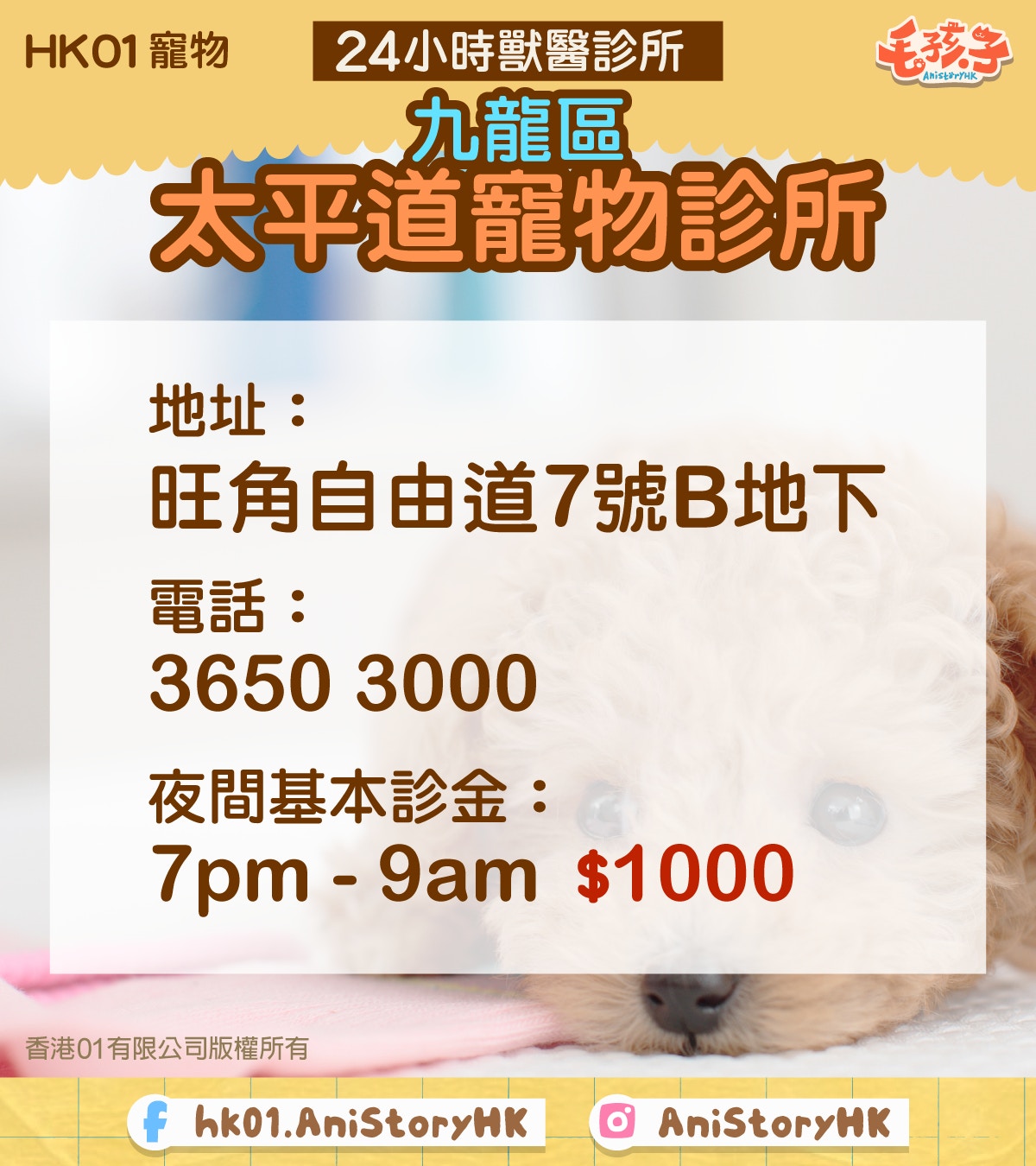 更新24小時獸醫名單】遇上急症遲5分鐘都冇命應急資料要常備
