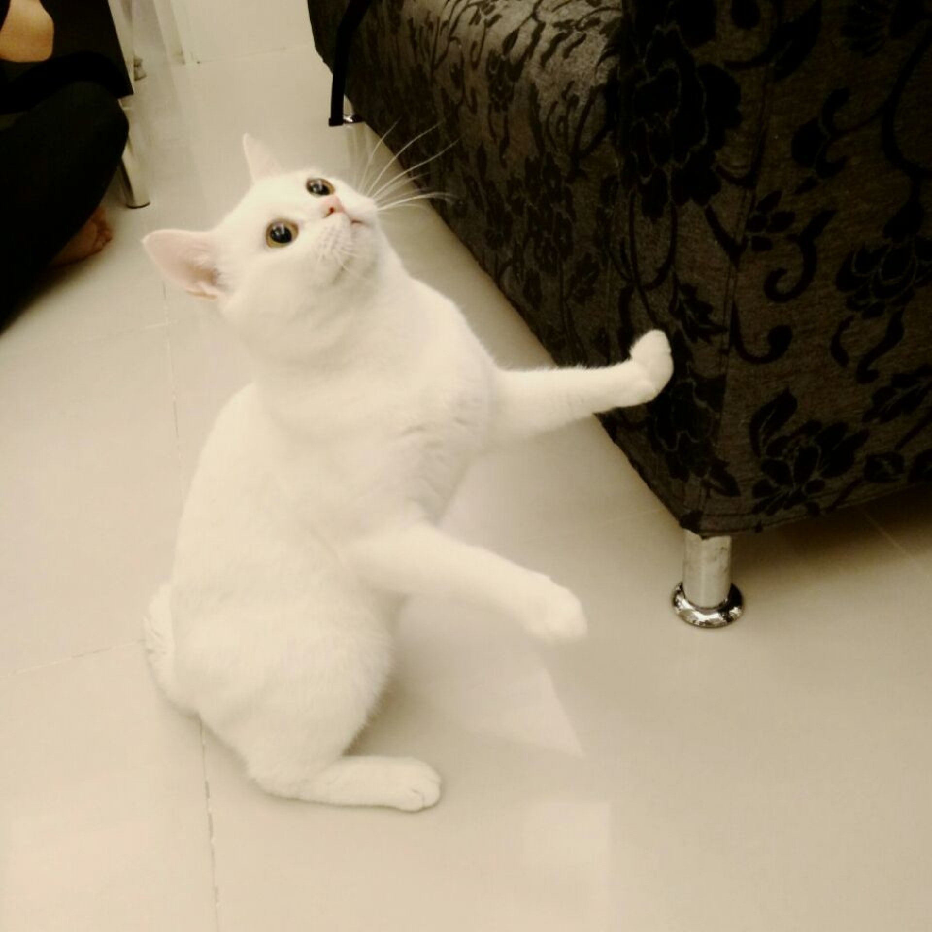 圖為「清水」。(受訪者提供) 圖為「清水」。(受訪者提供)