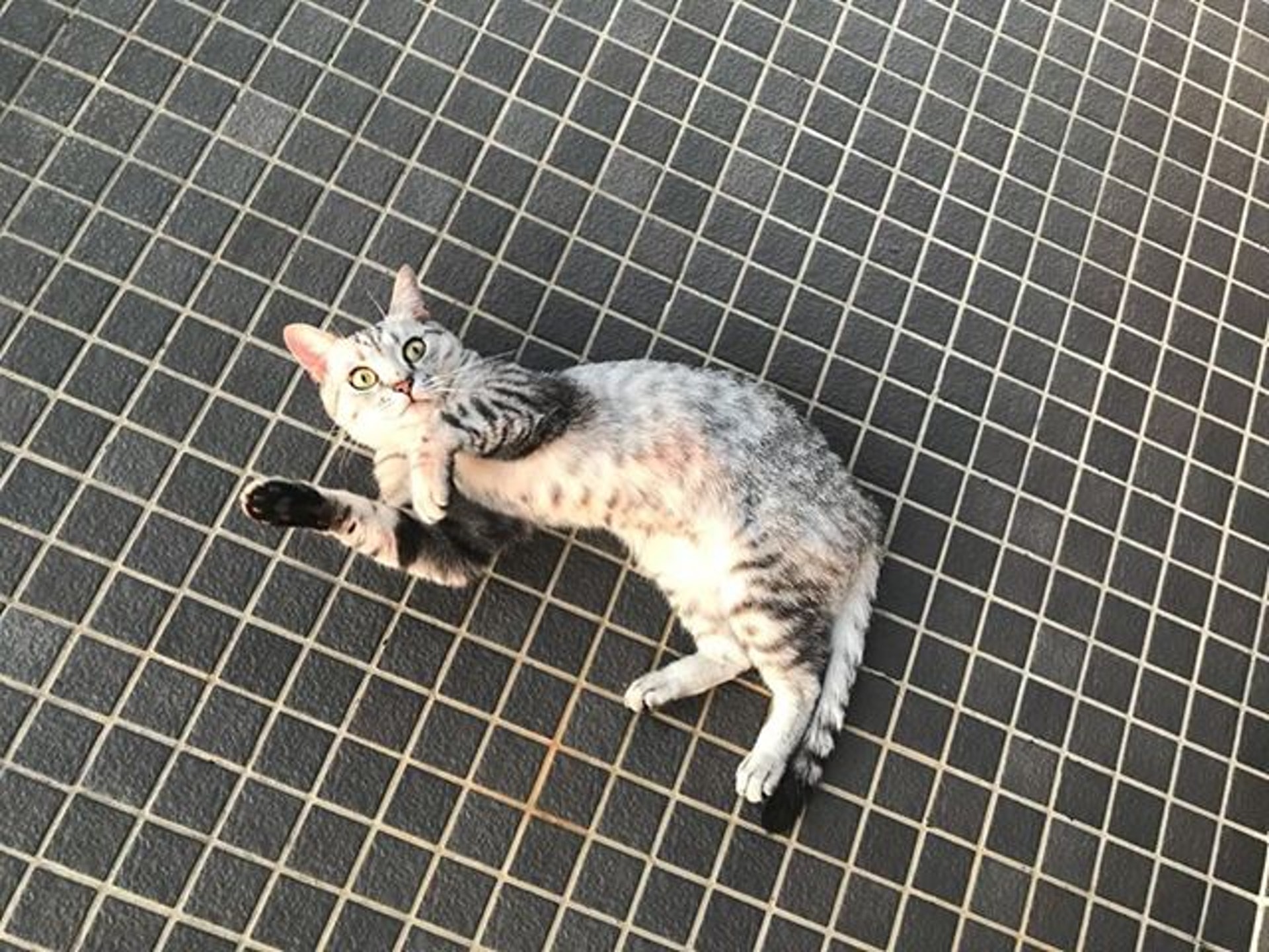 圖為爸爸「栗子」。(受訪者提供) 圖為爸爸「栗子」。(受訪者提供)