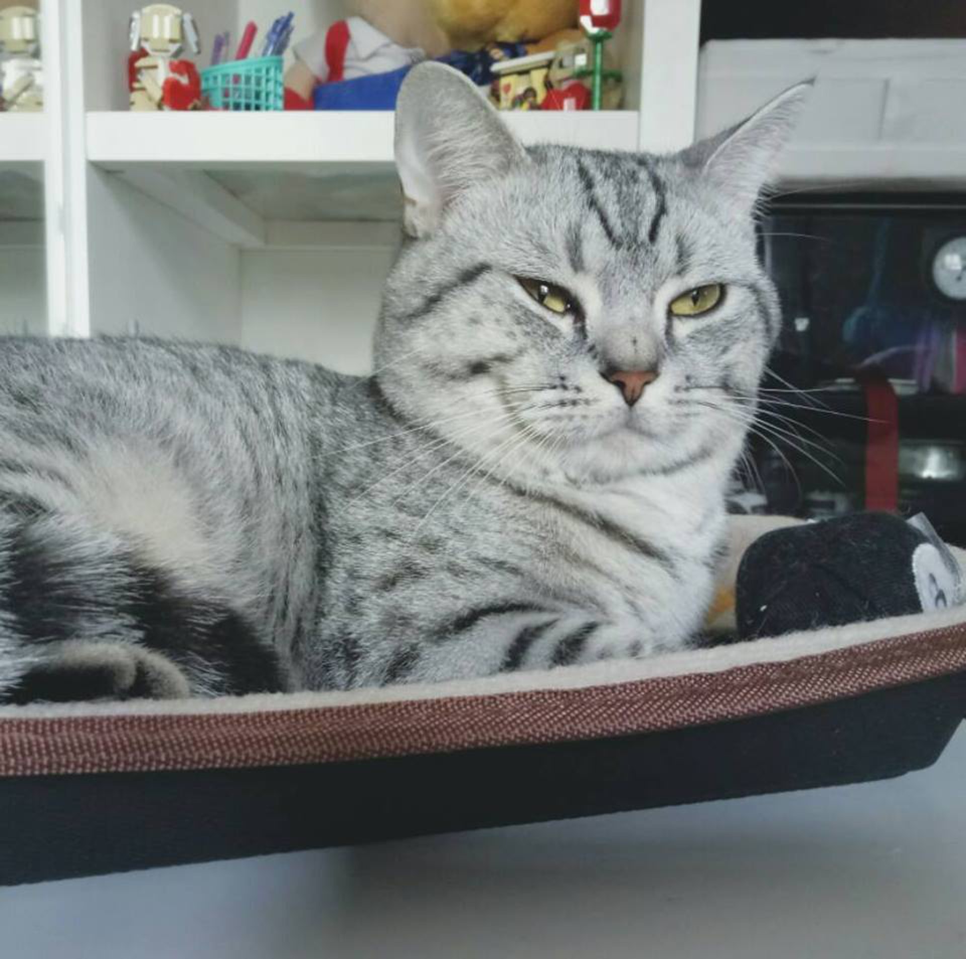 圖為爸爸「栗子」。(受訪者提供) 圖為爸爸「栗子」。(受訪者提供)