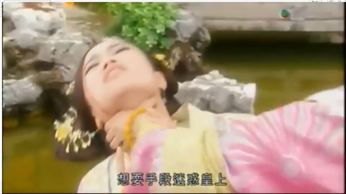 （電視畫面）