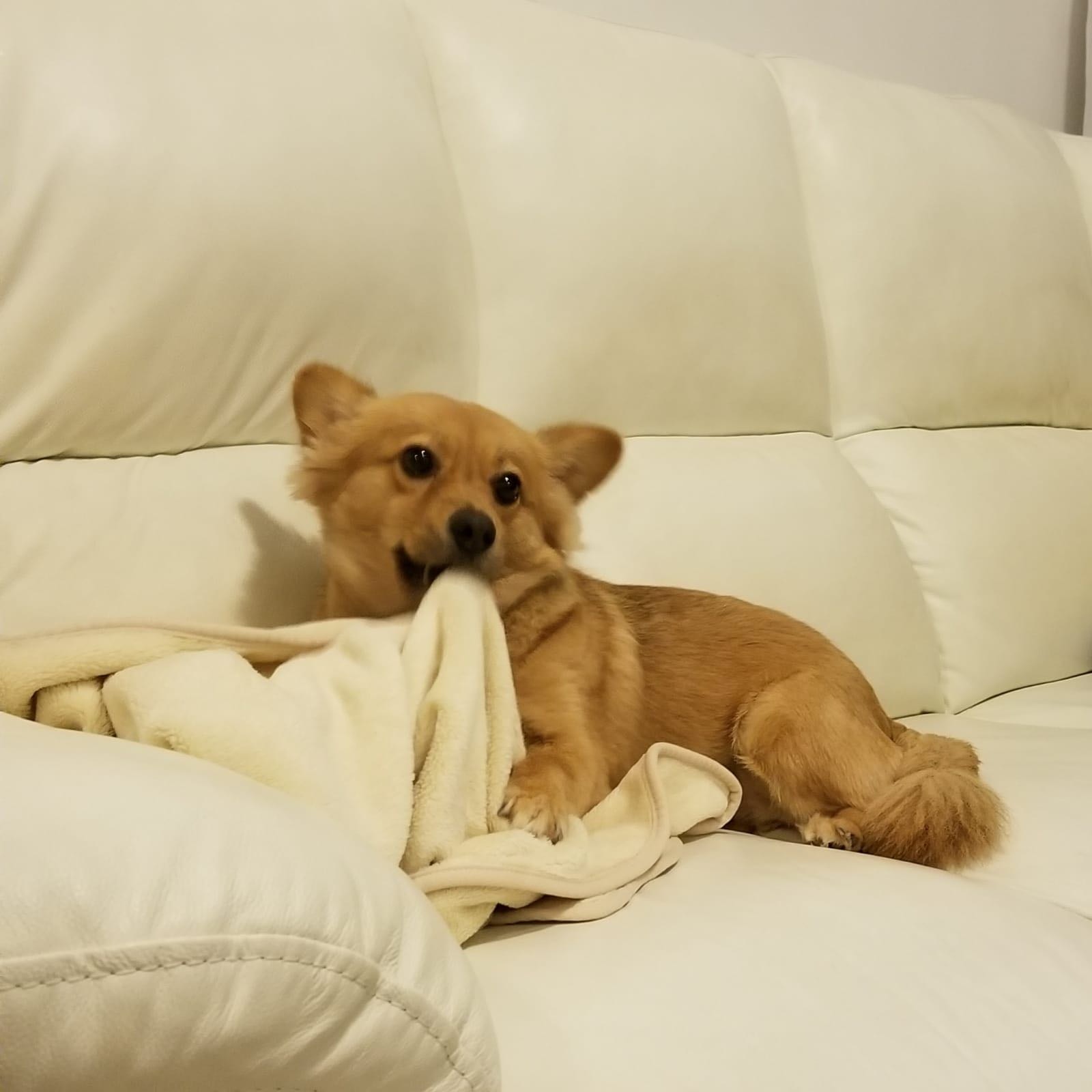 (受訪者提供) (受訪者提供)