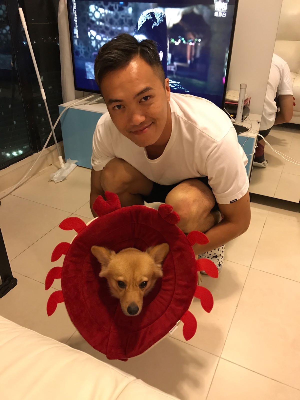 「薯餅」正式成為Andy家的新成員!(受訪者提供) 「薯餅」正式成為Andy家的新成員!(受訪者提供)