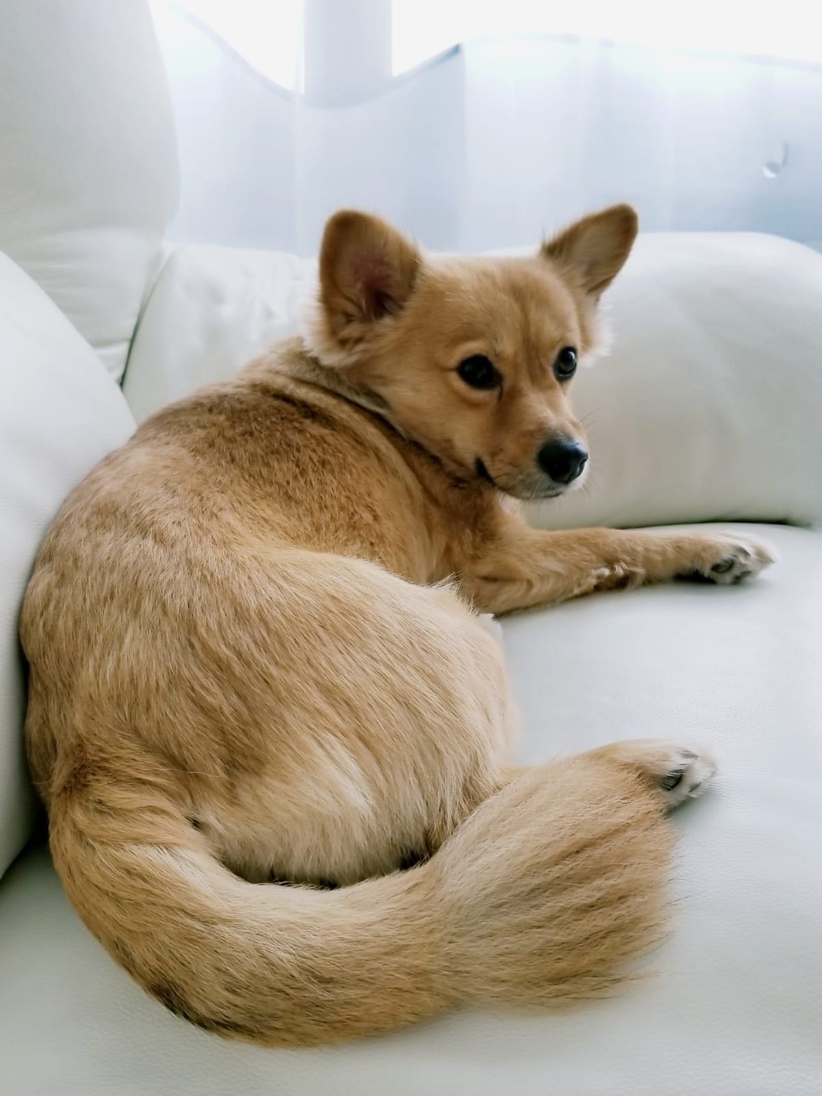 (受訪者提供) (受訪者提供)