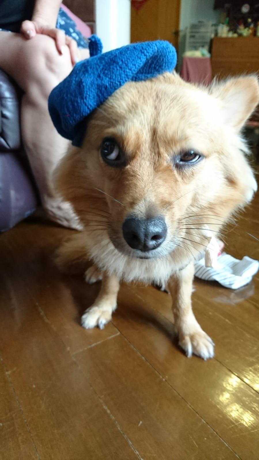 表情趣怪的「薯餅」。(受訪者提供) 表情趣怪的「薯餅」。(受訪者提供)