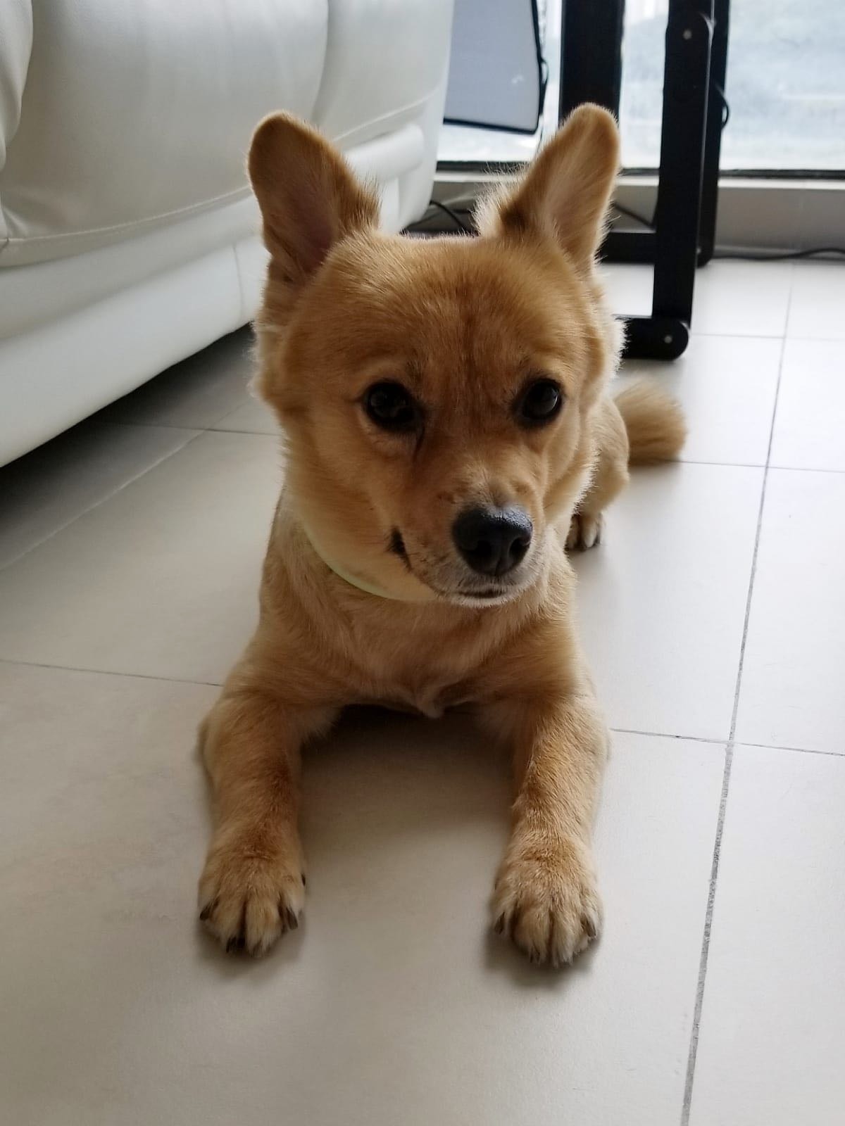 但他只要回想當時初衷,便覺得所有付出都很值得。(受訪者提供) 但他只要回想當時初衷,便覺得所有付出都很值得。(受訪者提供)