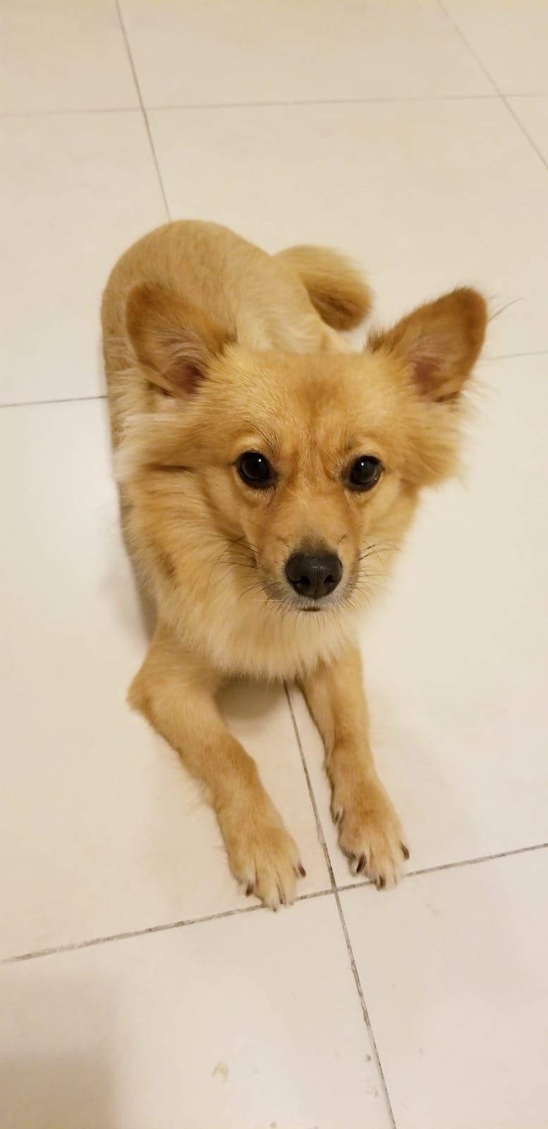 他坦言完全沒有一刻感到後悔。(受訪者提供) 他坦言完全沒有一刻感到後悔。(受訪者提供)