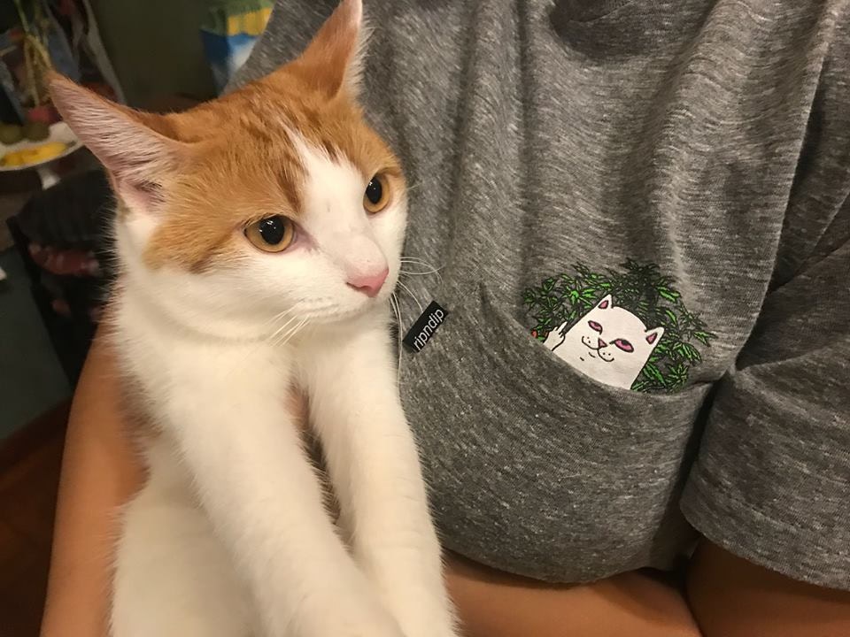 「天二」上周四離開元朗住所後,不知所終。(受訪者提供) 「天二」上周四離開元朗住所後,不知所終。(受訪者提供)