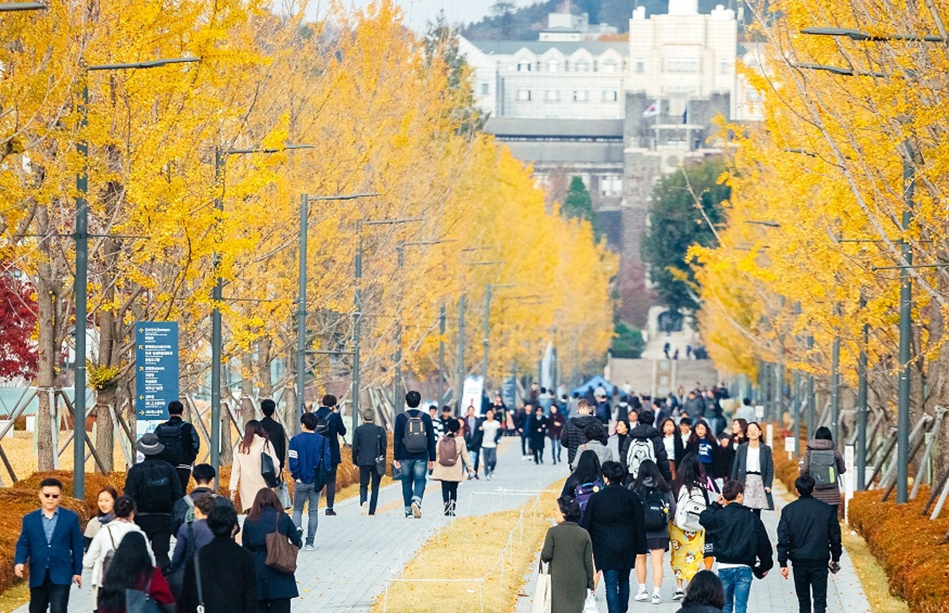 禤國全表示,現時該公司的日韓台旅行團,均是由公司培訓的員工擔任導遊。(VCG) 禤國全表示,現時該公司的日韓台旅行團,均是由公司培訓的員工擔任導遊。(VCG)