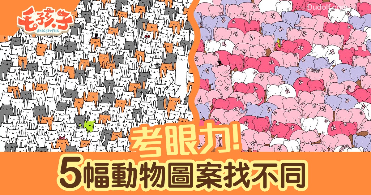 動物圖案找不同5幅令你崩潰的眼力測試圖 香港01 寵物