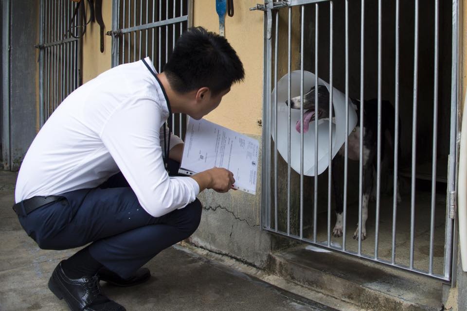 蘇嘉豪昨視察狗場,發現領養格力犬的安排陷於停頓,場內狗隻身上有傷口。(蘇嘉豪facebook) 蘇嘉豪昨視察狗場,發現領養格力犬的安排陷於停頓,場內狗隻身上有傷口。(蘇嘉豪facebook)