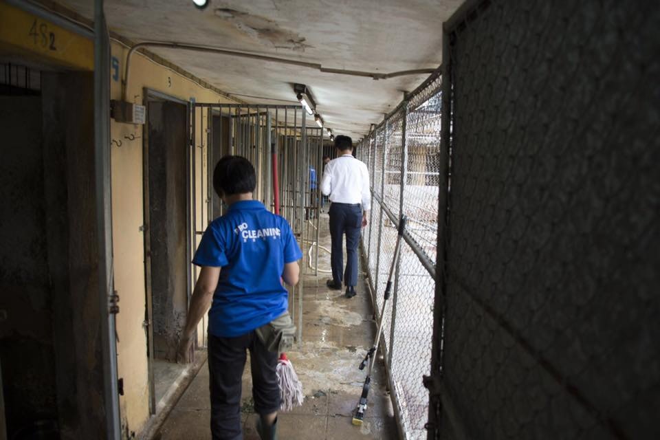 (蘇嘉豪facebook) (蘇嘉豪facebook)