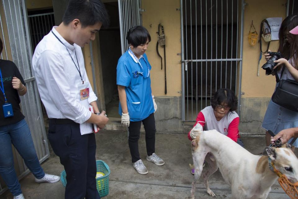 (蘇嘉豪facebook) (蘇嘉豪facebook)