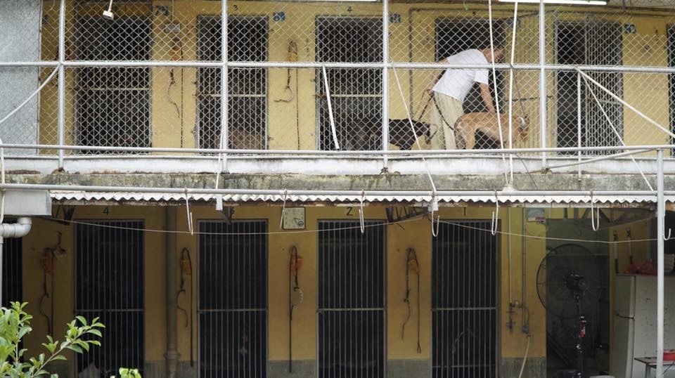 (蘇嘉豪facebook) (蘇嘉豪facebook)