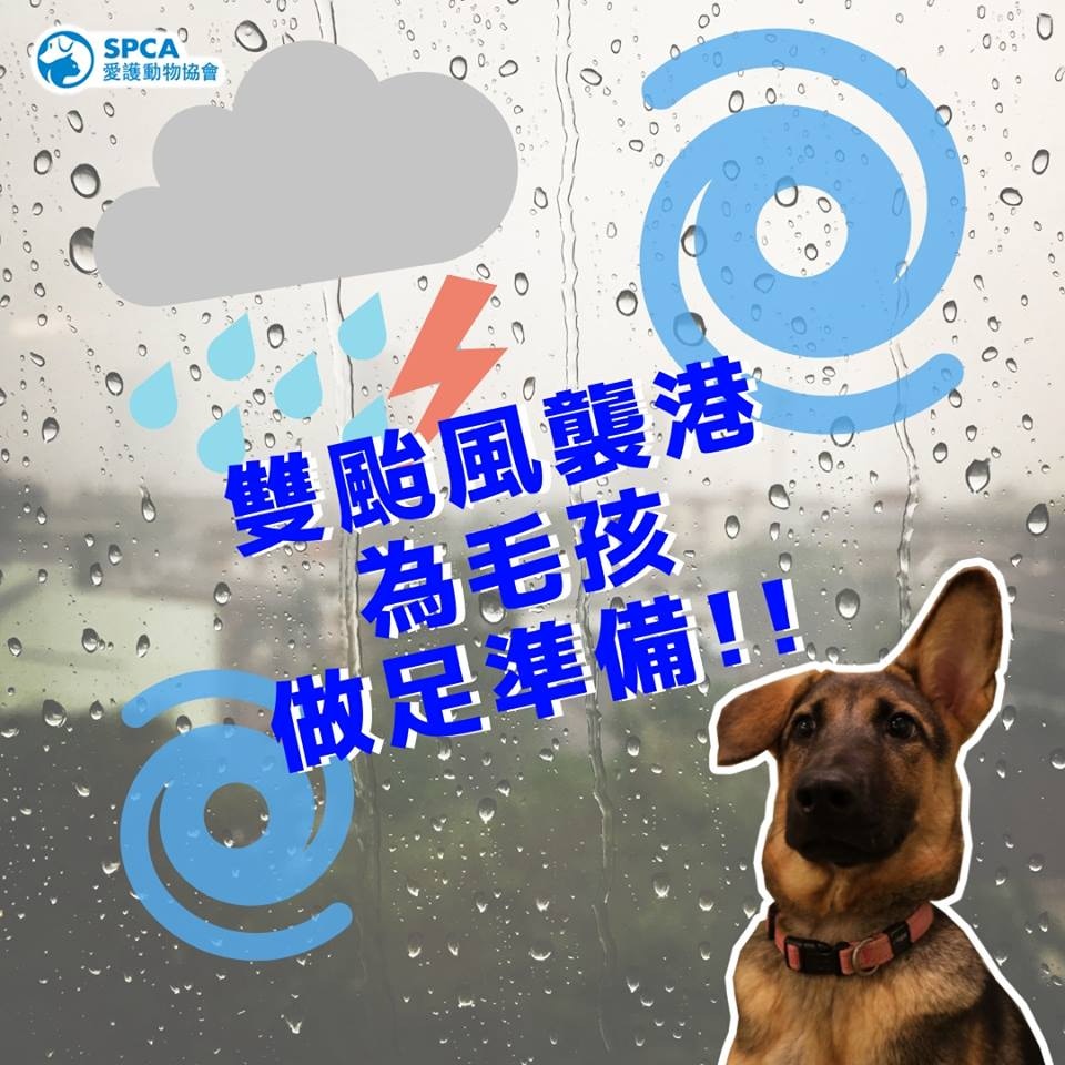 因應雙颱風襲港,愛協網上呼籲市民為毛孩做足準備。(香港愛護動物協會圖片) 因應雙颱風襲港,愛協網上呼籲市民為毛孩做足準備。(香港愛護動物協會圖片)