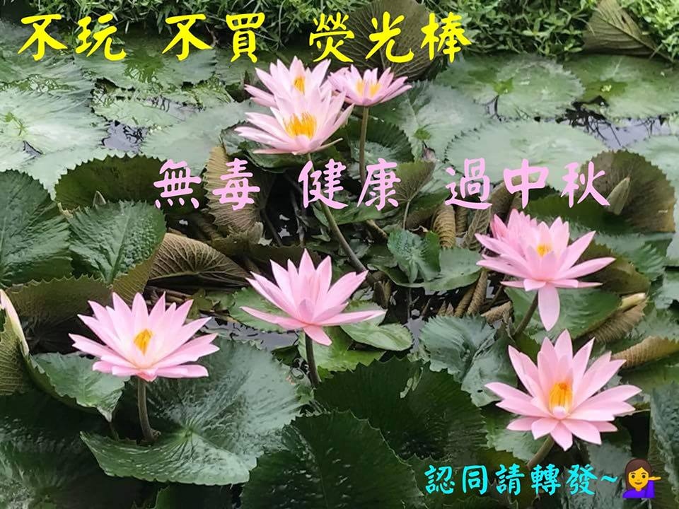為配合各方長輩的興趣，一眾街坊設計了多款圖片，「梗有一款啱你心意」。（搞走塑提供）