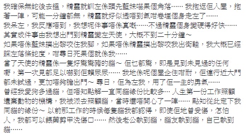 主人Cecilia在fb撰寫的精靈故事全文。(fb「天下貓貓一樣貓群組」截圖) 主人Cecilia在fb撰寫的精靈故事全文。(fb「天下貓貓一樣貓群組」截圖)