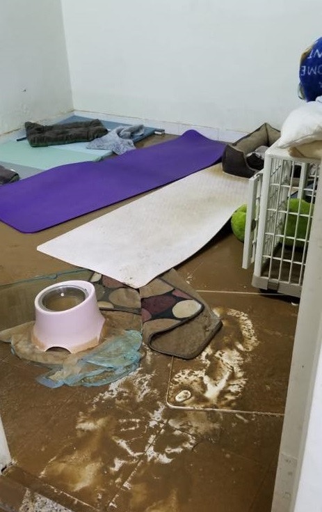 「阿棍屋」上月在暴雨中遭逢水浸。(「阿棍屋」專頁圖片) 「阿棍屋」上月在暴雨中遭逢水浸。(「阿棍屋」專頁圖片)