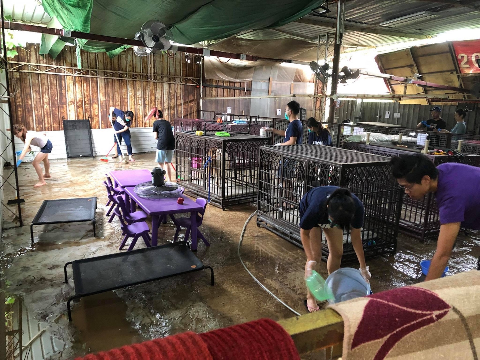 「阿棍屋」上月底在暴雨中遭逢水浸,需大量義工清理。(「阿棍屋」專頁圖片) 「阿棍屋」上月底在暴雨中遭逢水浸,需大量義工清理。(「阿棍屋」專頁圖片)