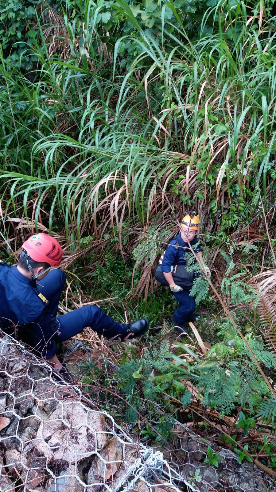 動物督察時常需以身犯險拯救動物。(SPCA提供) 動物督察時常需以身犯險拯救動物。(SPCA提供)