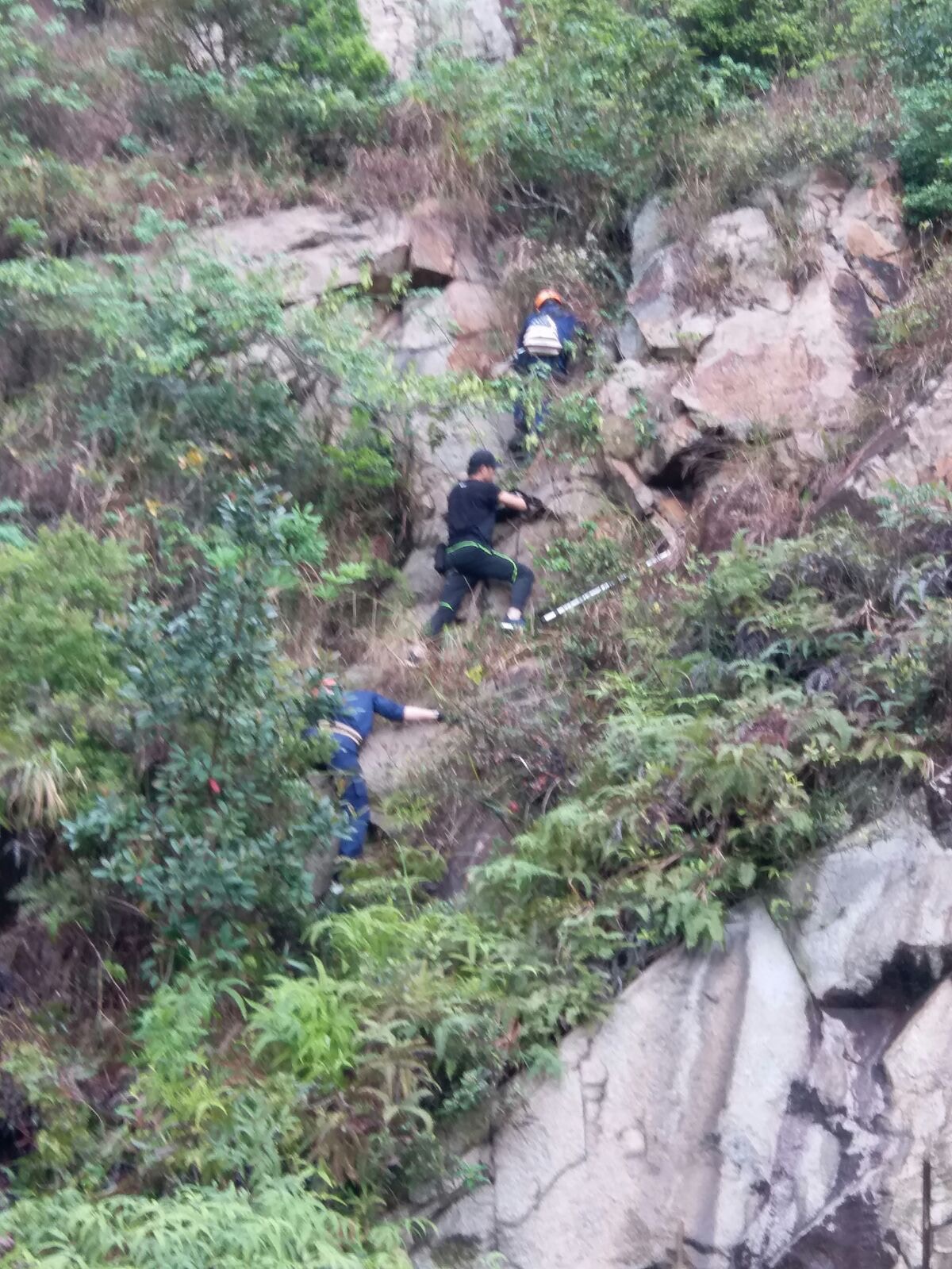 不論搜救過程有多艱險,動物督察們都從無怨言。(SPCA提供) 不論搜救過程有多艱險,動物督察們都從無怨言。(SPCA提供)