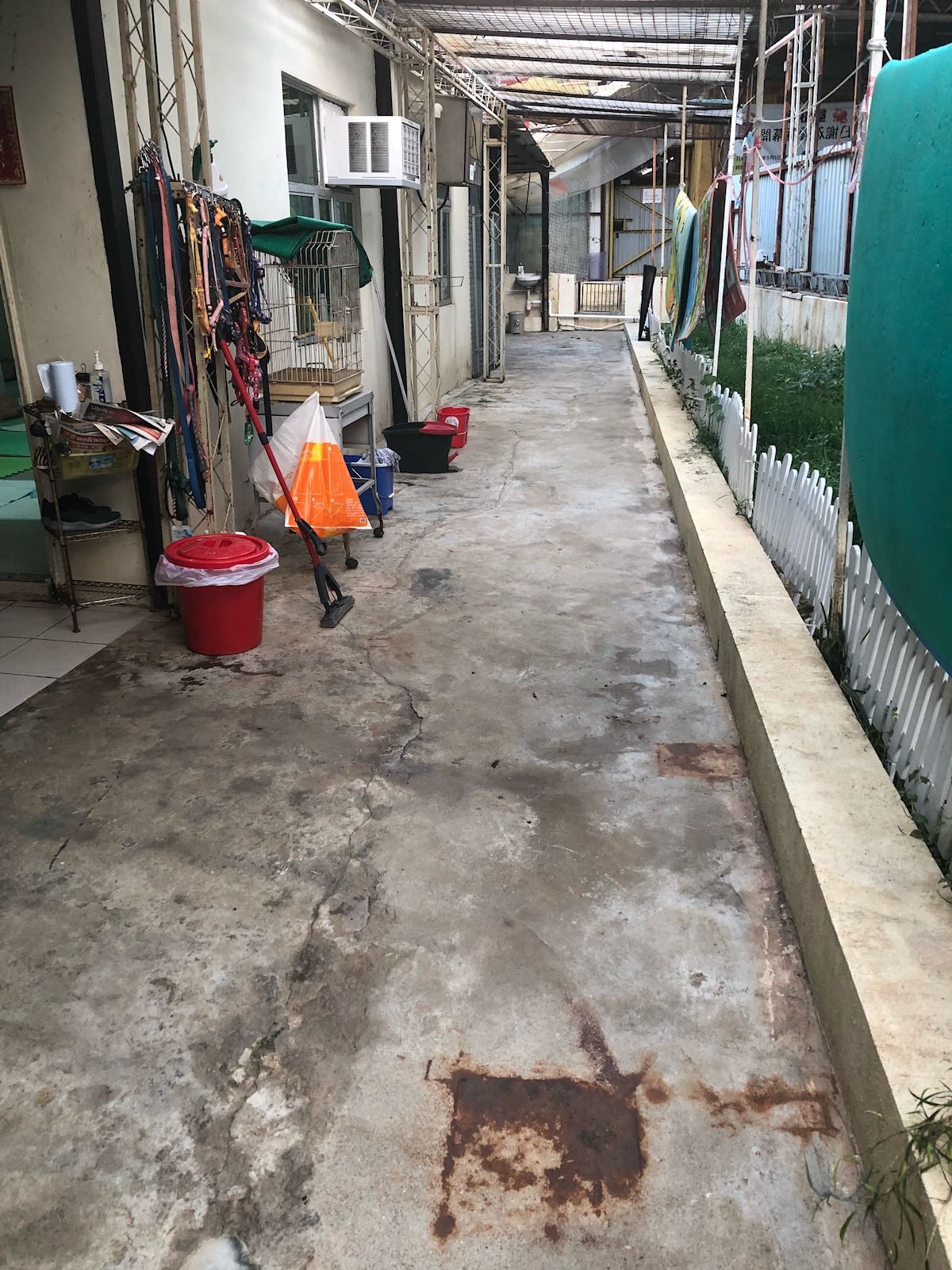 「阿棍屋」負責人謝小姐擔心,中心難以抵住颱風「山竹」的強勁風力。(受訪者提供) 「阿棍屋」負責人謝小姐擔心,中心難以抵住颱風「山竹」的強勁風力。(受訪者提供)