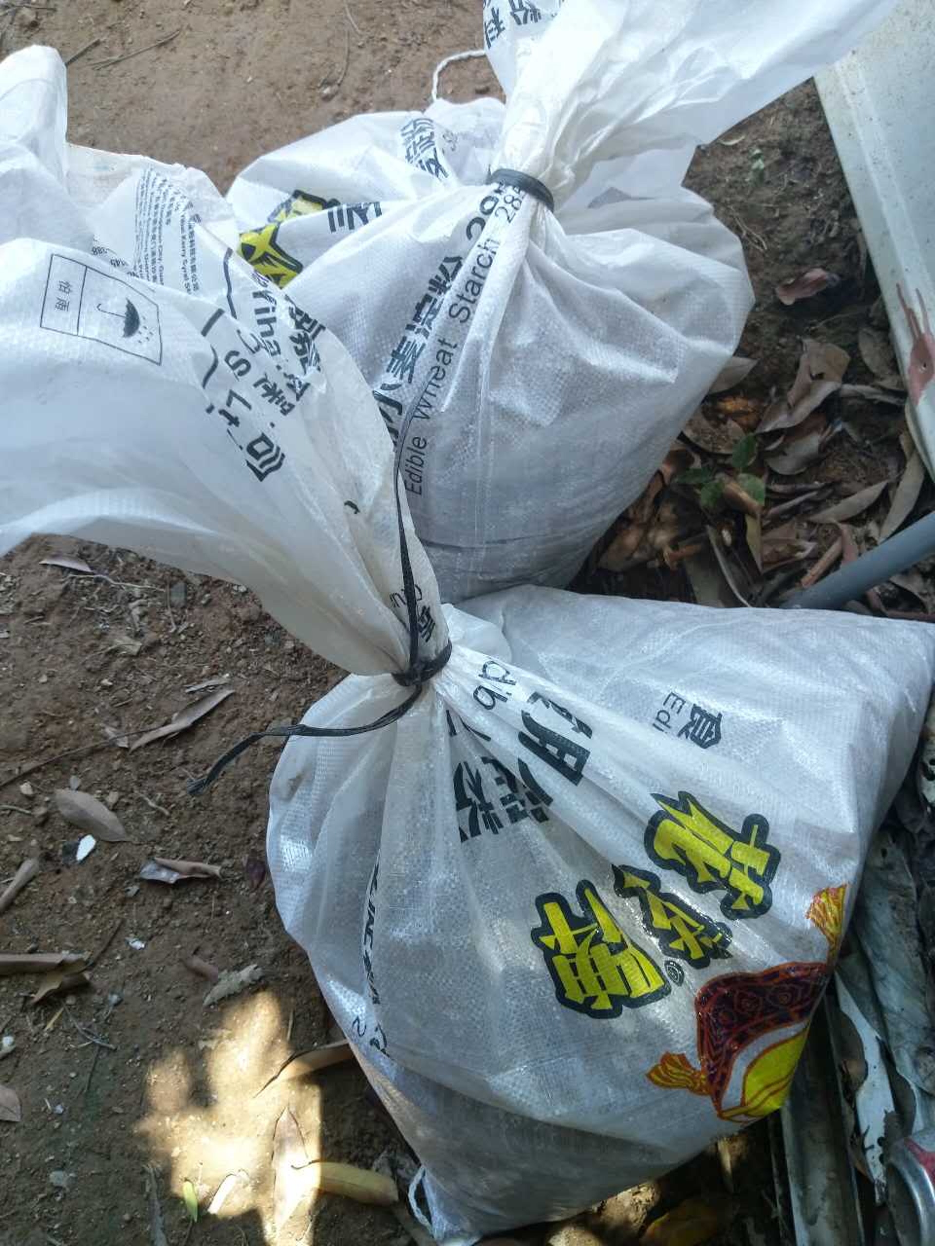 颱風來襲前夕,美虹和萬豪父母在寮屋頂加上沙包,以防被颱風吹塌。 颱風來襲前夕,美虹和萬豪父母在寮屋頂加上沙包,以防被颱風吹塌。