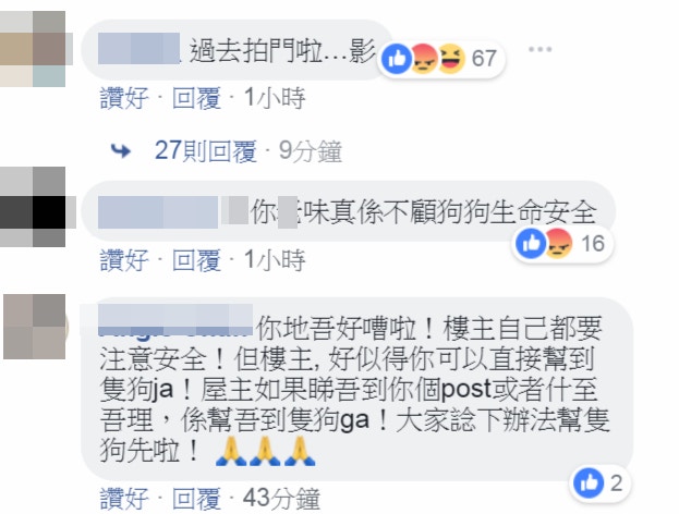 片段引起網民熱議,批評狗主不顧寵物安危。(fb專頁「盡在元朗」截圖) 片段引起網民熱議,批評狗主不顧寵物安危。(fb專頁「盡在元朗」截圖)