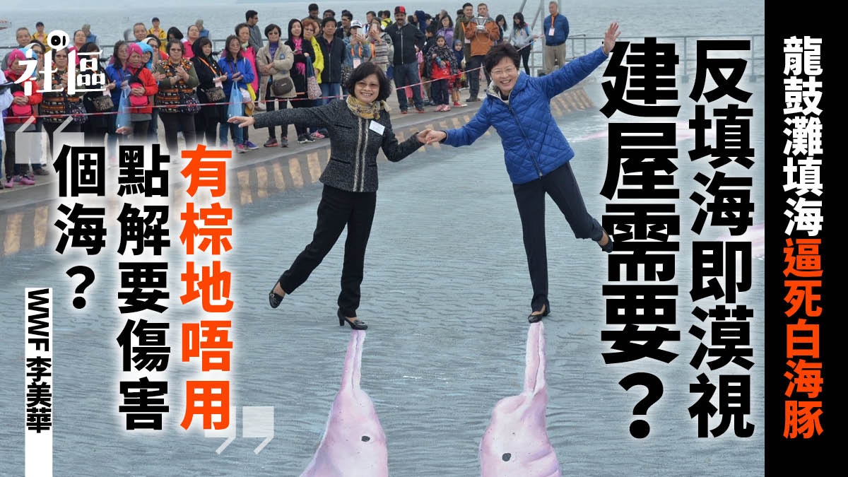 【龍鼓灘填海】香港唯一黑沙灣日落秘境 將變白海豚、蝴蝶地獄? 【龍鼓灘填海】香港唯一黑沙灣日落秘境 將變白海豚、蝴蝶地獄?