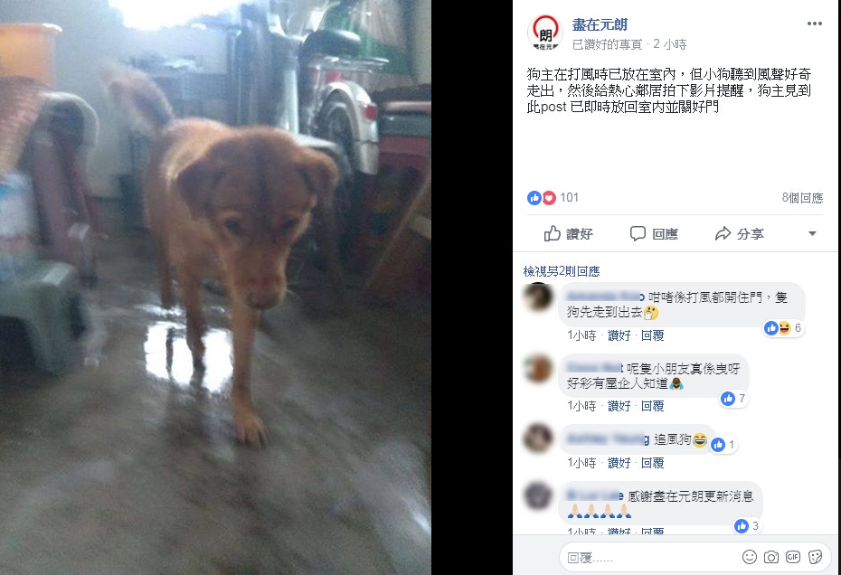 樓主其後更新最新消息,證實狗狗已被放回屋內,並無無礙。(fb專頁「盡在元朗」截圖) 樓主其後更新最新消息,證實狗狗已被放回屋內,並無無礙。(fb專頁「盡在元朗」截圖)