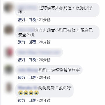 片中無助的狗狗身影,引起許多熱心網民關注。(Facebook群組「貢想 Vision Sai Kung」截圖) 片中無助的狗狗身影,引起許多熱心網民關注。(Facebook群組「貢想 Vision Sai Kung」截圖)
