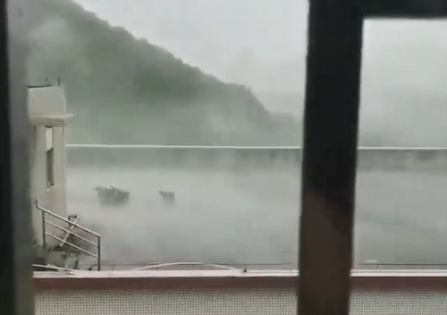 (亞洲善待動物組織微博片段圖片) (亞洲善待動物組織微博片段圖片)