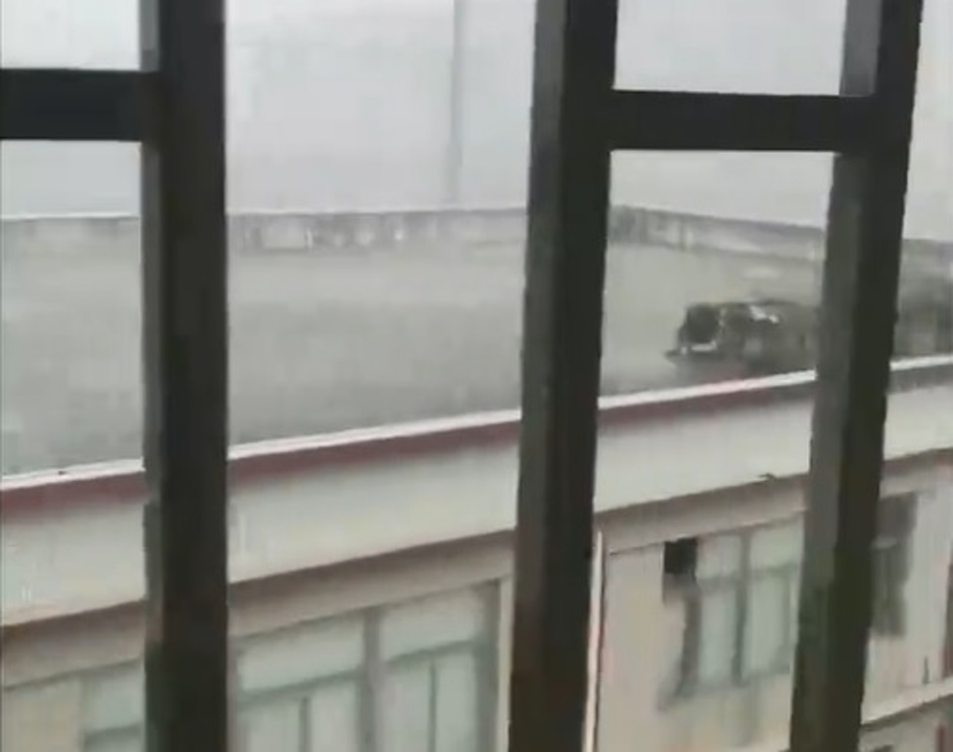 (亞洲善待動物組織微博片段圖片) (亞洲善待動物組織微博片段圖片)