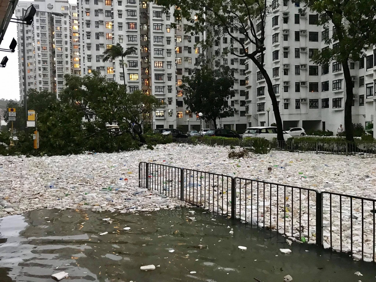 颱風「山竹」吹襲過後,重災區之一的杏花邨水浸及膝,大堆垃圾隨海水湧至屋苑範圍,形成「發泡膠海」。(fb群組「香港突發事故報料區」圖片) 颱風「山竹」吹襲過後,重災區之一的杏花邨水浸及膝,大堆垃圾隨海水湧至屋苑範圍,形成「發泡膠海」。(fb群組「香港突發事故報料區」圖片)