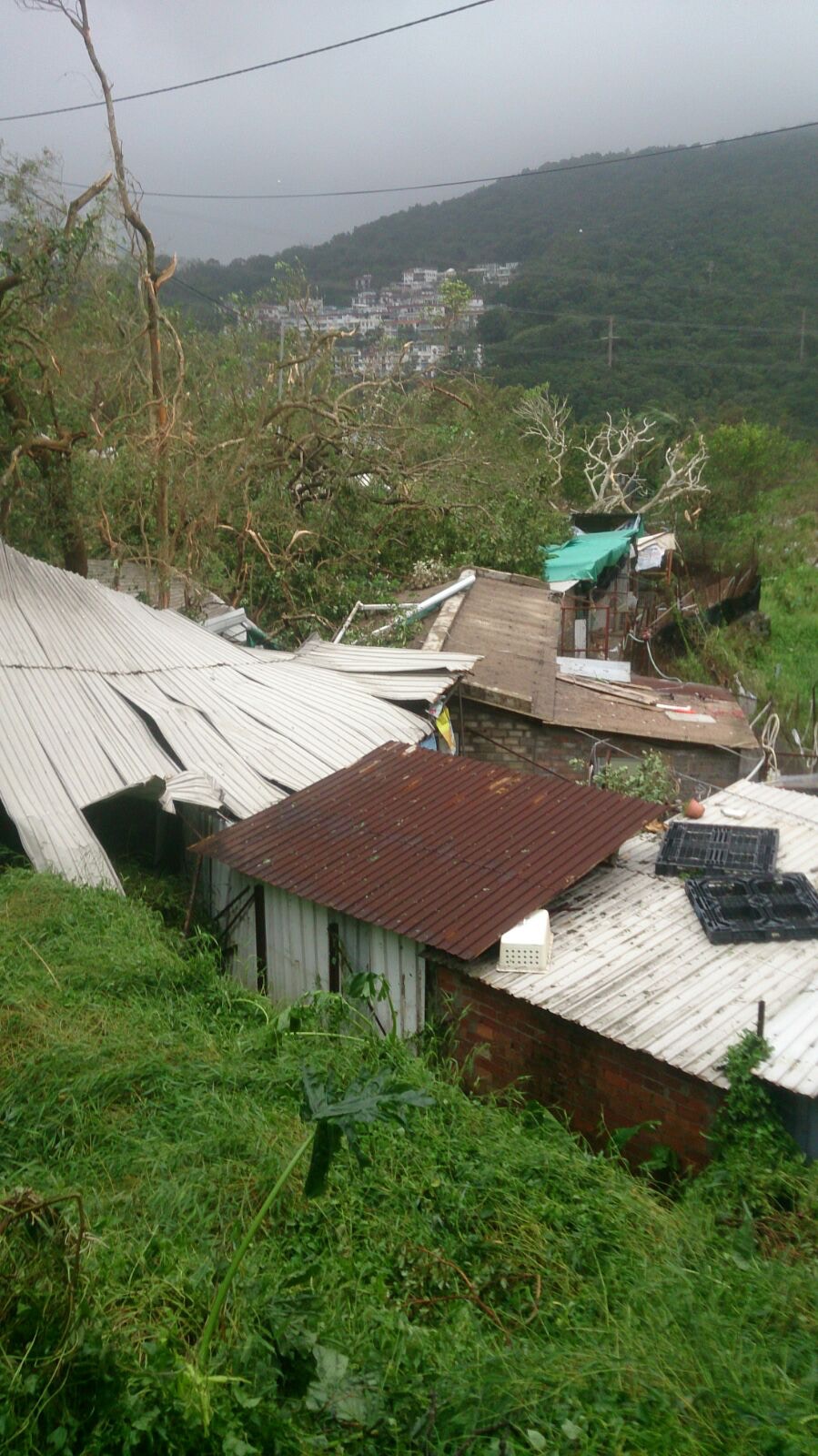 鞍山瀝積仔的義工Janet指,不少小型狗場在是次颱風中受災嚴重。(鞍山瀝積仔的義工Janet提供) 鞍山瀝積仔的義工Janet指,不少小型狗場在是次颱風中受災嚴重。(鞍山瀝積仔的義工Janet提供)