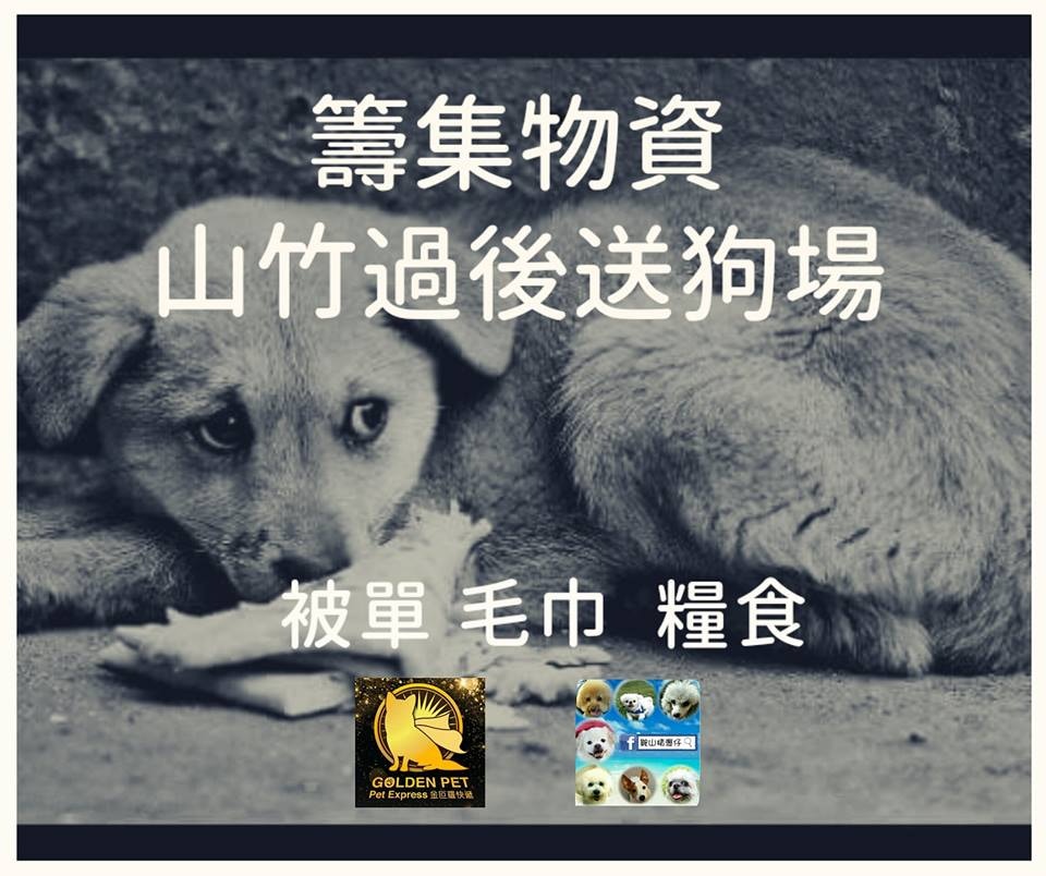 義工和寵物接送公司正收集物資,送往有需要的狗場。(金叵羅快遞寵物接送Facebook) 義工和寵物接送公司正收集物資,送往有需要的狗場。(金叵羅快遞寵物接送Facebook)