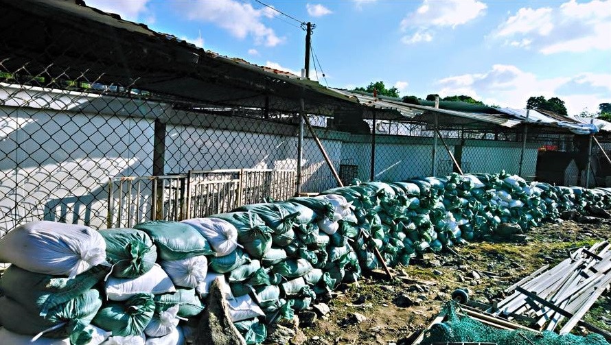 山竹來襲前,義工已經在場外堆疊沙包。(拯救遺棄寵物中心提供) 山竹來襲前,義工已經在場外堆疊沙包。(拯救遺棄寵物中心提供)