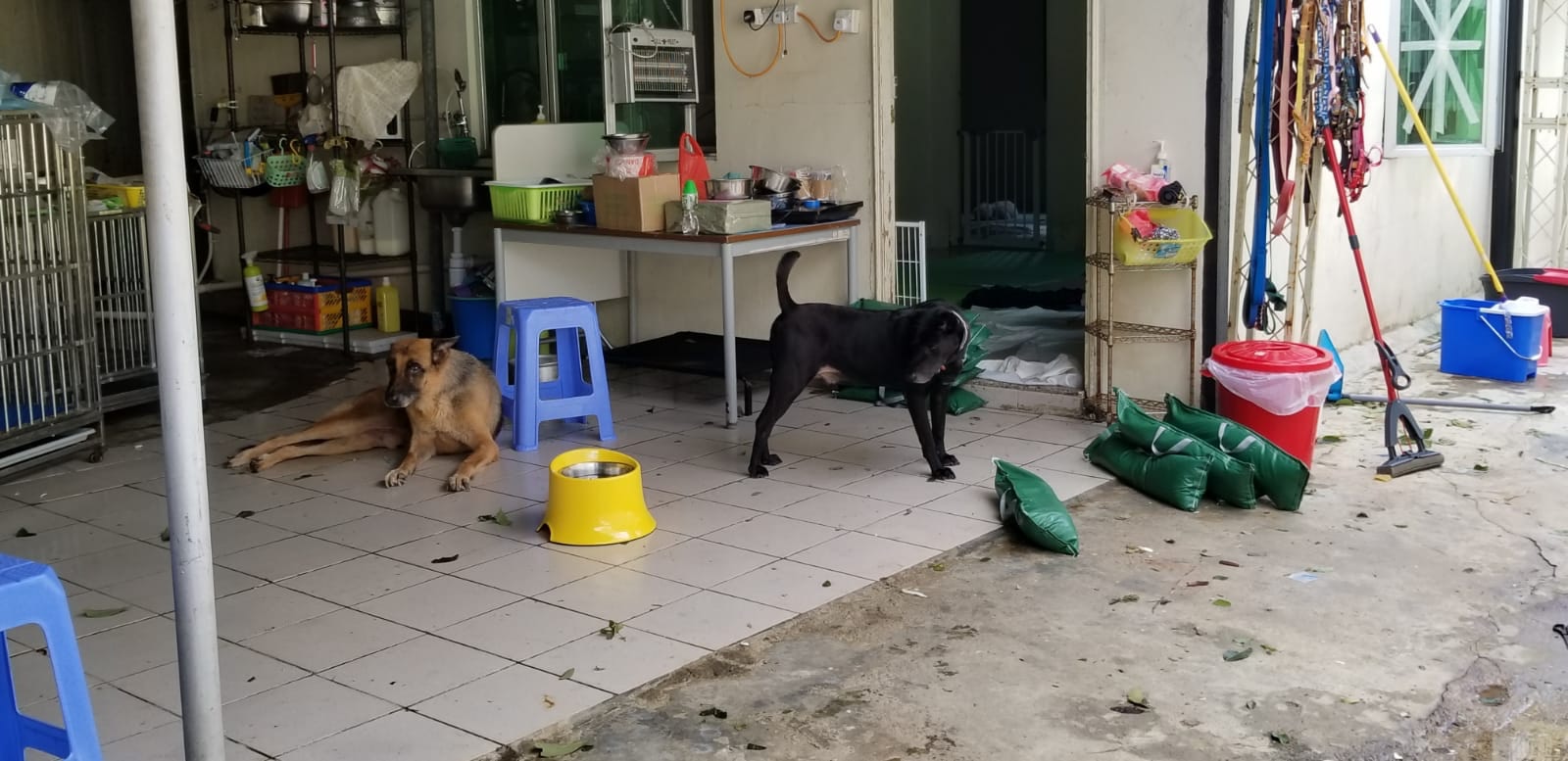 (相片由阿棍屋提供) (相片由阿棍屋提供)