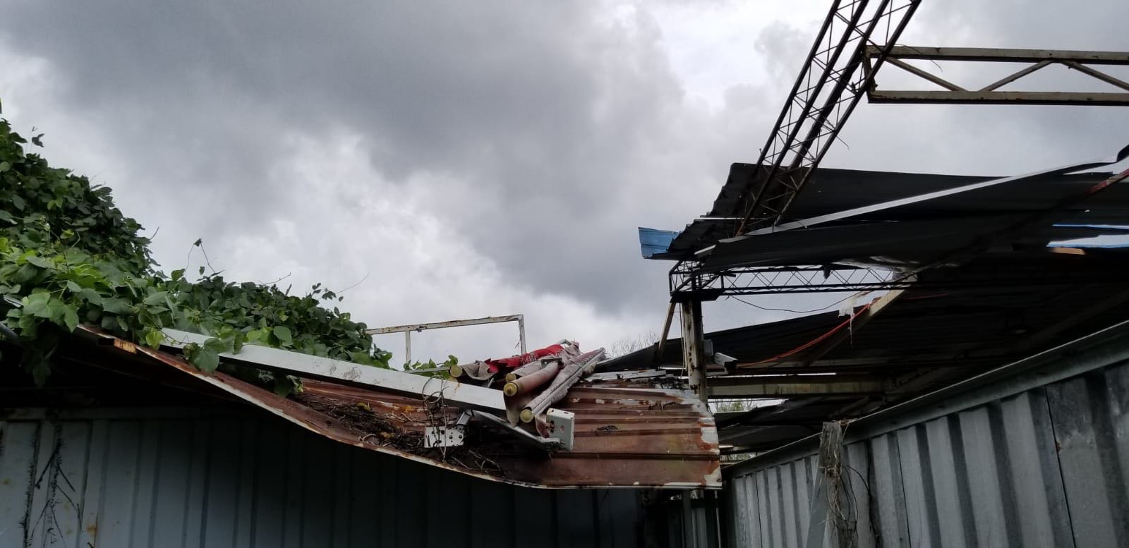 (相片由阿棍屋提供) (相片由阿棍屋提供)