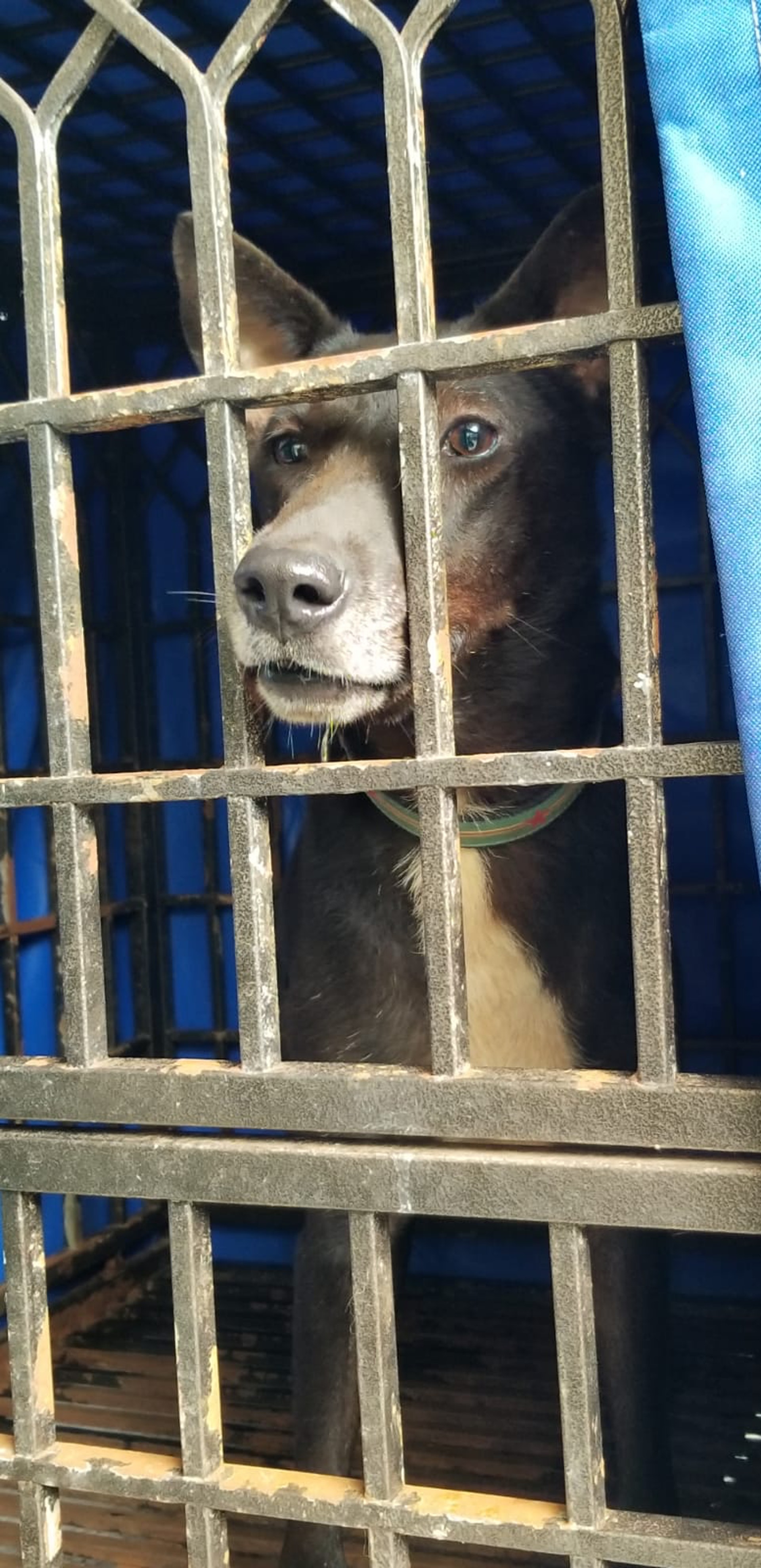 (相片由阿棍屋提供) (相片由阿棍屋提供)