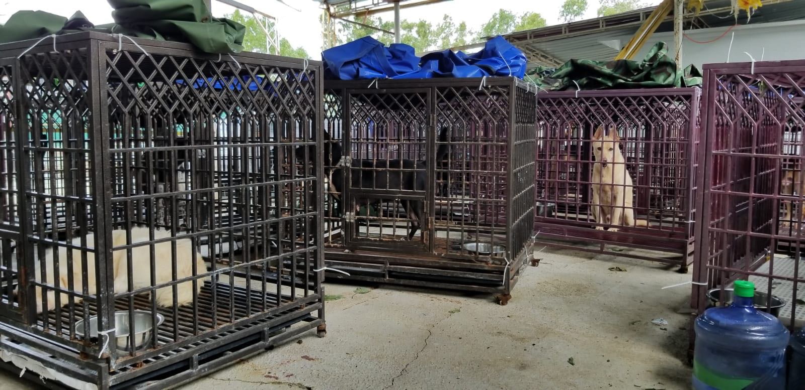 (相片由阿棍屋提供) (相片由阿棍屋提供)