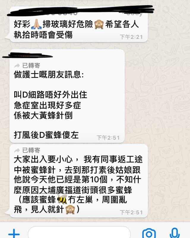 有網民上傳WhatsApp 對話截圖至帖文,提及蜜蜂主要出現在大埔廣福道。(網上圖片) 有網民上傳WhatsApp 對話截圖至帖文,提及蜜蜂主要出現在大埔廣福道。(網上圖片)