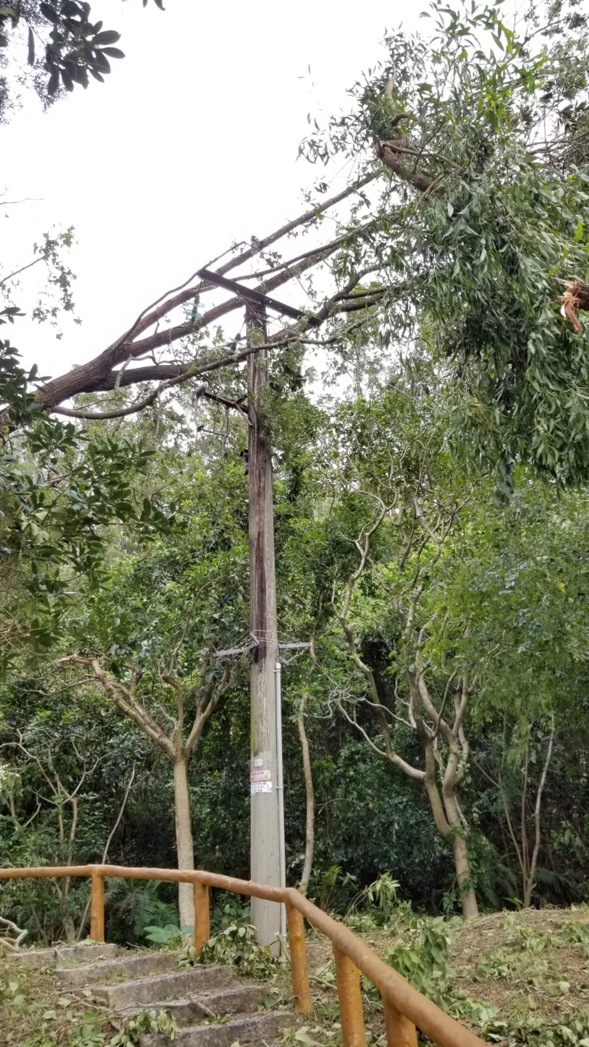 電纜受颱風破壞。(中電提供圖片) 電纜受颱風破壞。(中電提供圖片)